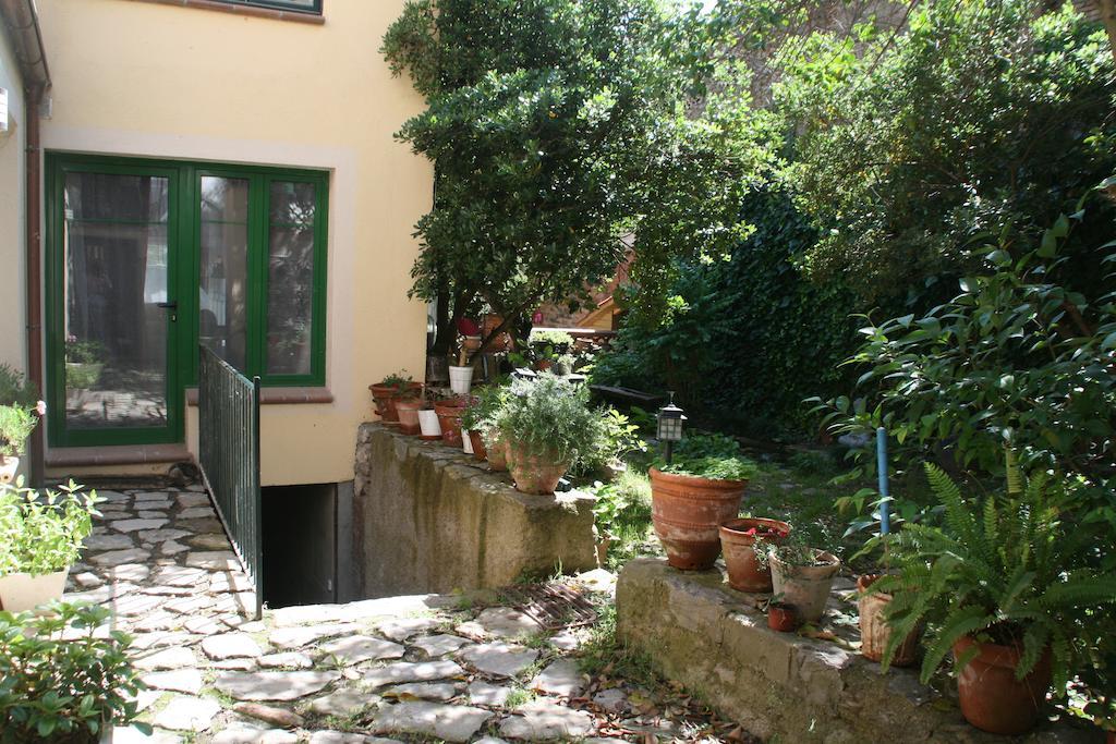 B&B Sallent Zewnętrze zdjęcie